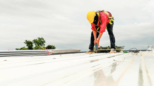 Best Roof Leak Repair  in New Town, ND